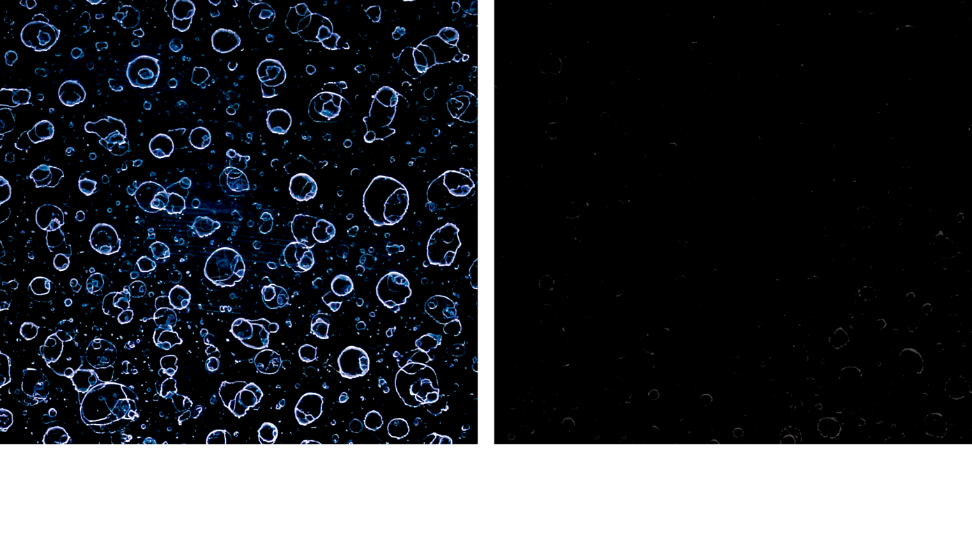 水シミ比較