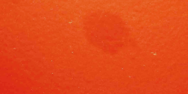 未施工車の塗装状態